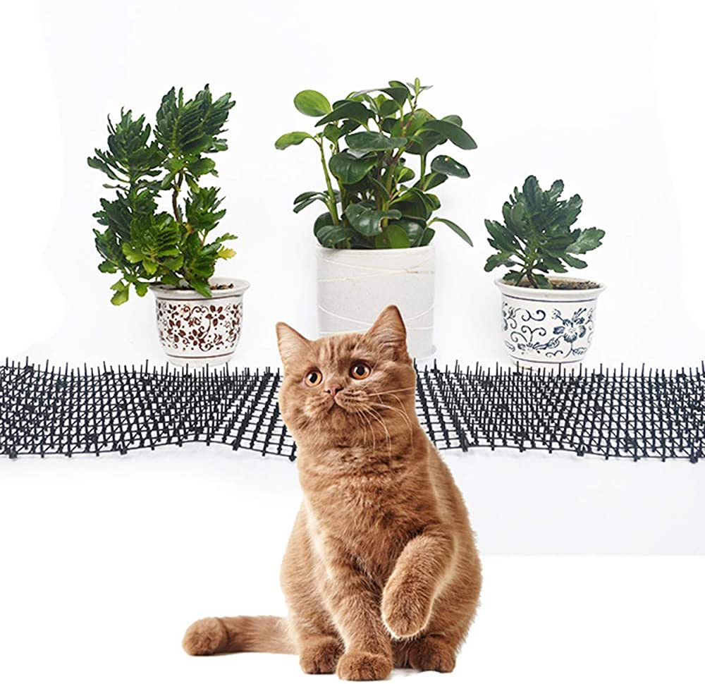 Kedi Balkonu Sinekliği